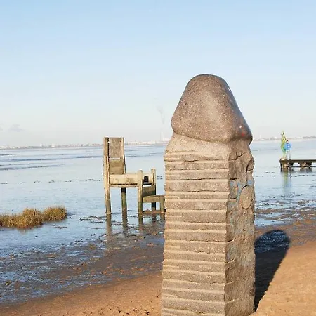 Appenzeller, S U A , Dangaster Tied 2 Дангаст