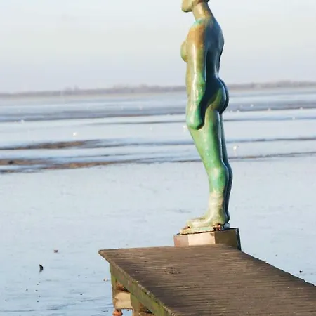 Appenzeller, S U A , Dangaster Tied 2 Дангаст