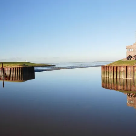 Appenzeller, S U A , Dangaster Tied 2 *