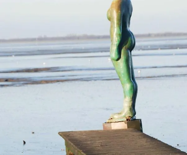 Appenzeller, S U A , Dangaster Tied 2 Dangast